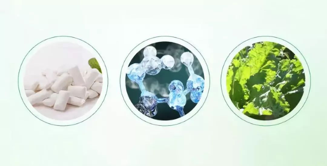 一条精选｜用它喷喷，24小时口气清新！