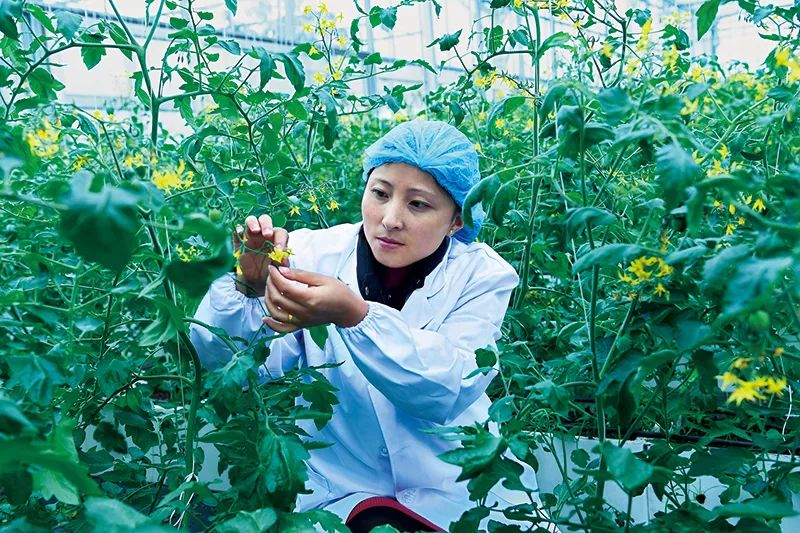 土地出让收入优先支持乡村振兴,农业农村优先发展实施乡村振兴