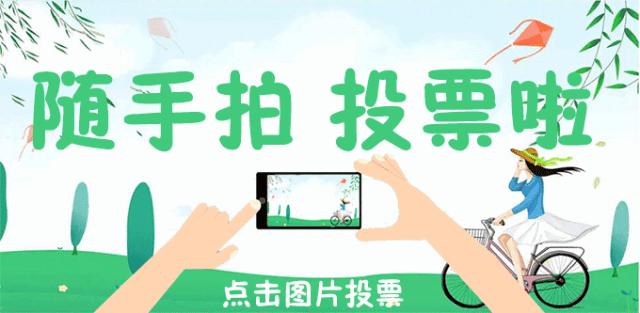 西班牙小镇、皇家籣台、同信滨江壹号、同信缤纷之窗被通报，原因是...