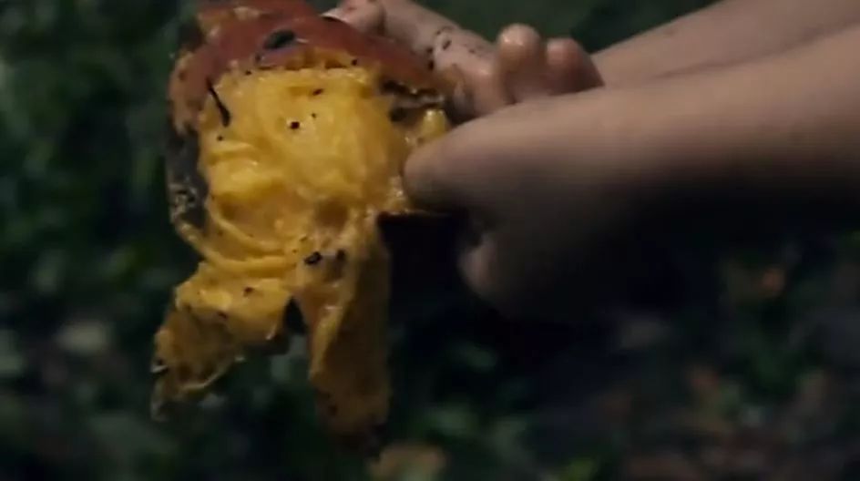 被绑架的4岁小孩,4岁儿童被绑架