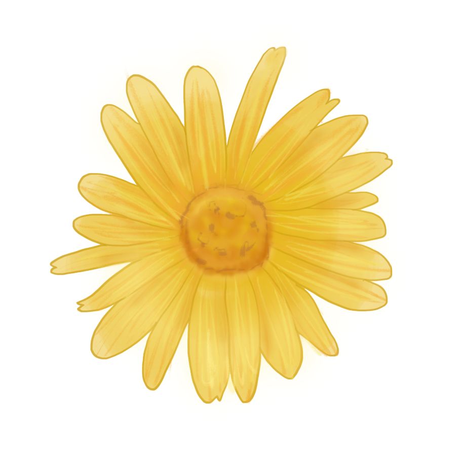 孕妈出现三种症状怎么处理,孕妈孕期3件事