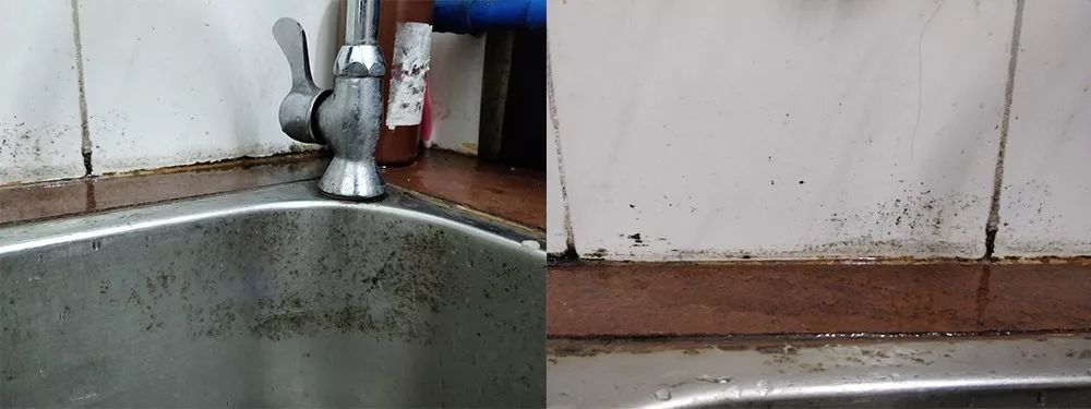 去污“高科技”！焦黑锅底、油垢、霉菌，喷一喷全消失