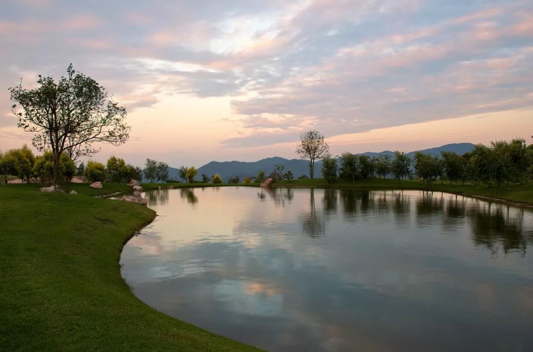 权威发布|这样的花都，太上头了！