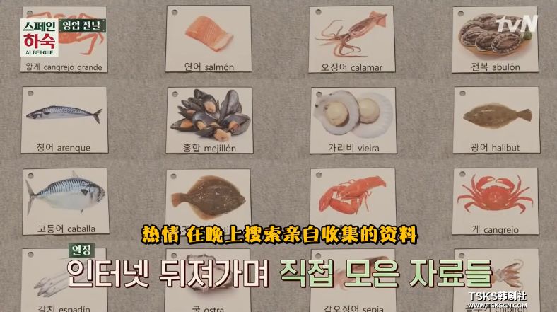 罗英石综艺节目表,罗英石新综艺