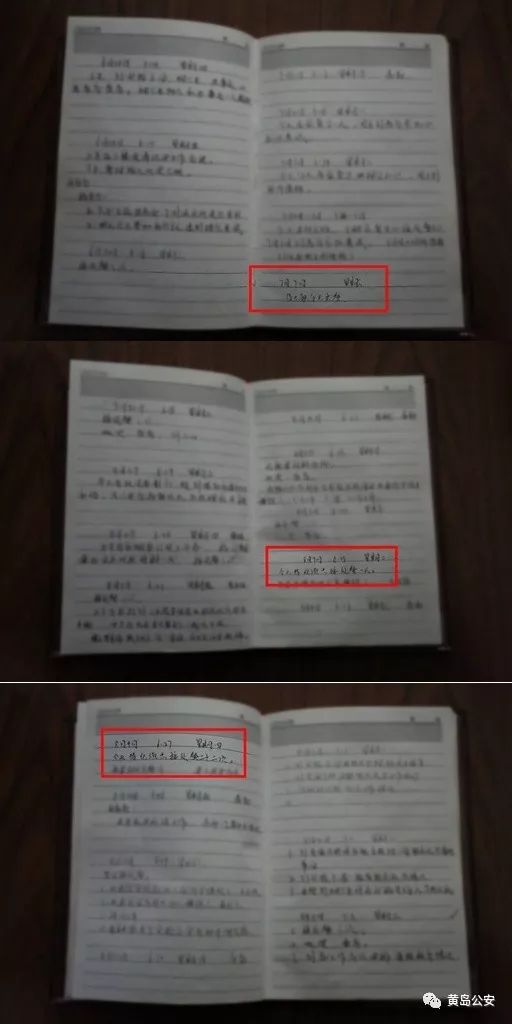 忠诚之路,忠诚之路完整版