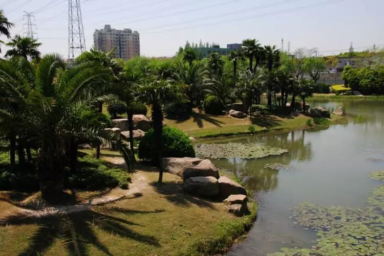 剁手｜10块钱在上海能干些什么？这些可能大家都想不到！