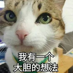 猫咪呜呜呜的叫是什么意思,猫咪呜呜呜的跑来跑去