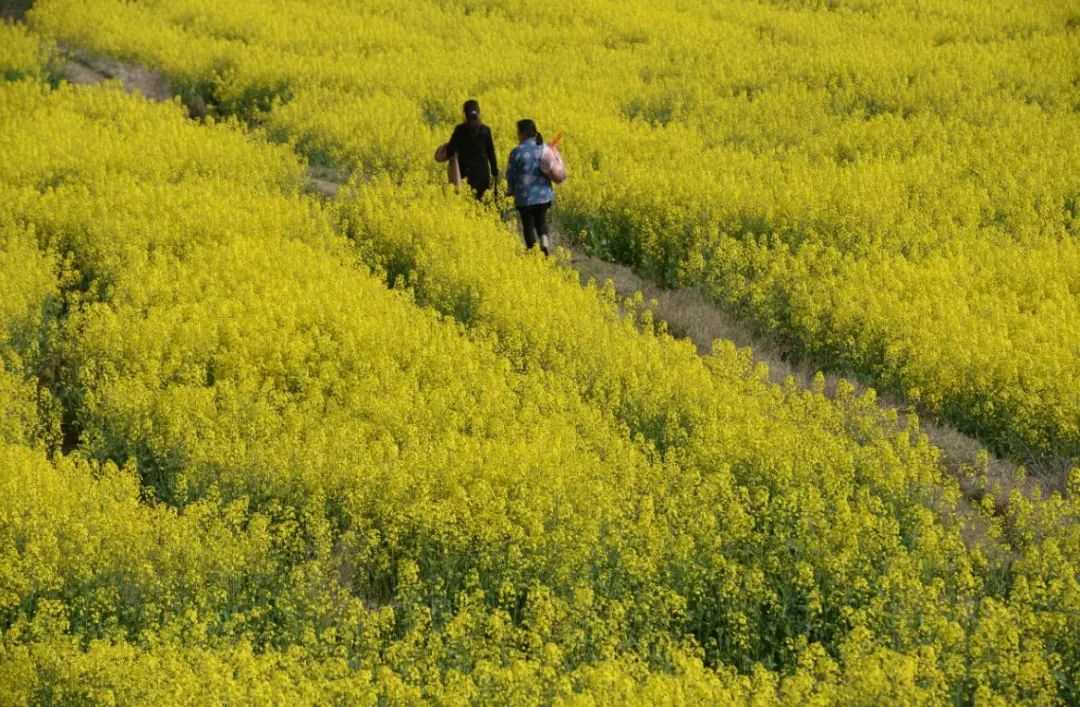 枞阳摄影师,枞阳拍照写真