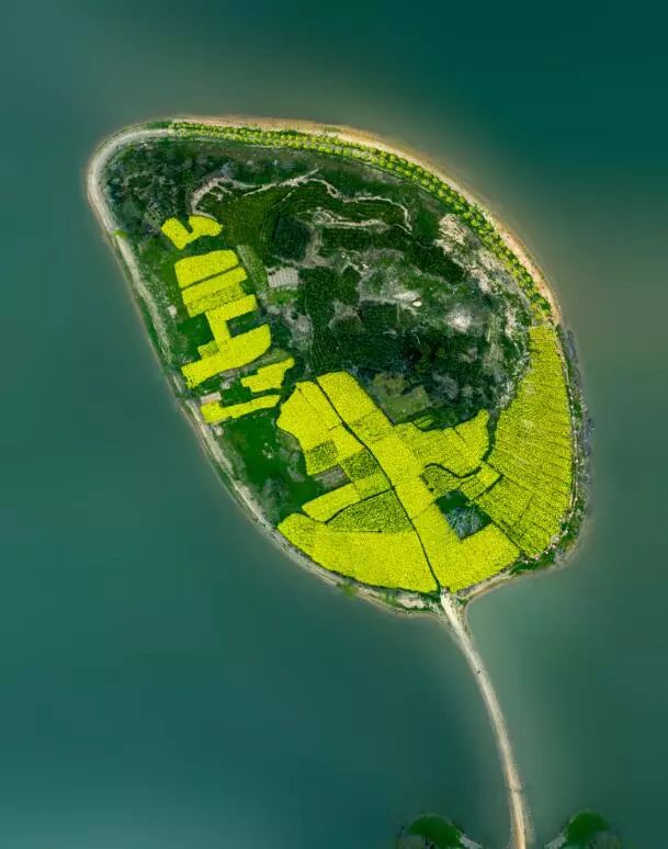 枞阳摄影师,枞阳拍照写真