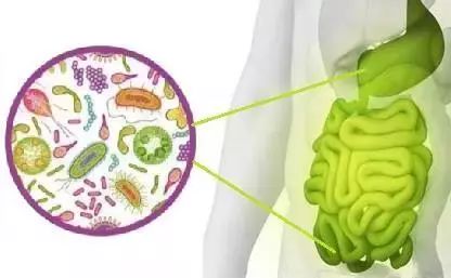 健康亮红灯有什么预兆,健康红灯怎么消除
