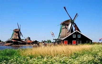 荷兰花海一日游50元,荷兰花海一日游攻略5月20号