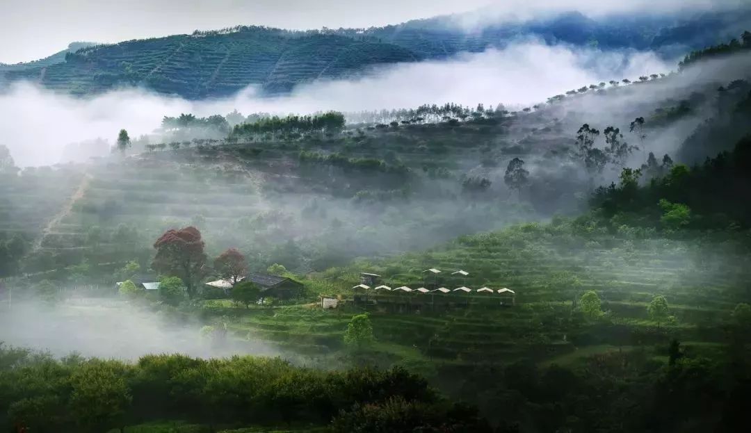 厦门同安真实风景,镜头下的风景真的很美