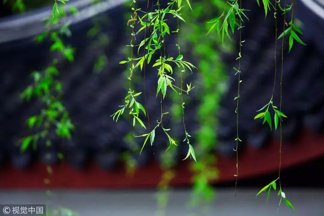 有关清明的山水画,中国风清明水墨画