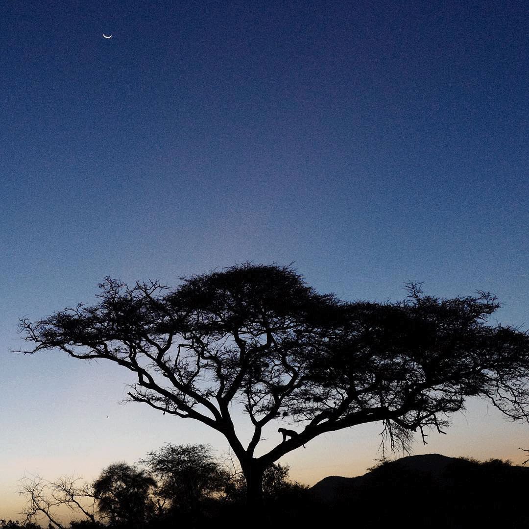 跟刘昊然在非洲过了6天5夜,发现他其实就是个话痨加多动症啊……