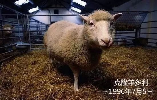 龙叔送书|精神是永远的，就算他已经死去