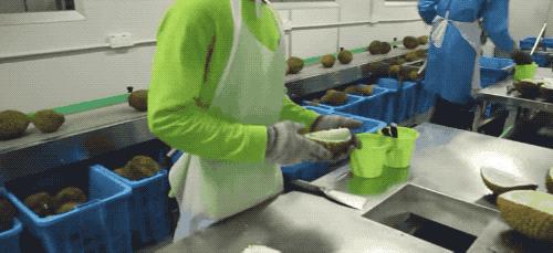 榴莲干特征,榴莲干为什么这么好吃