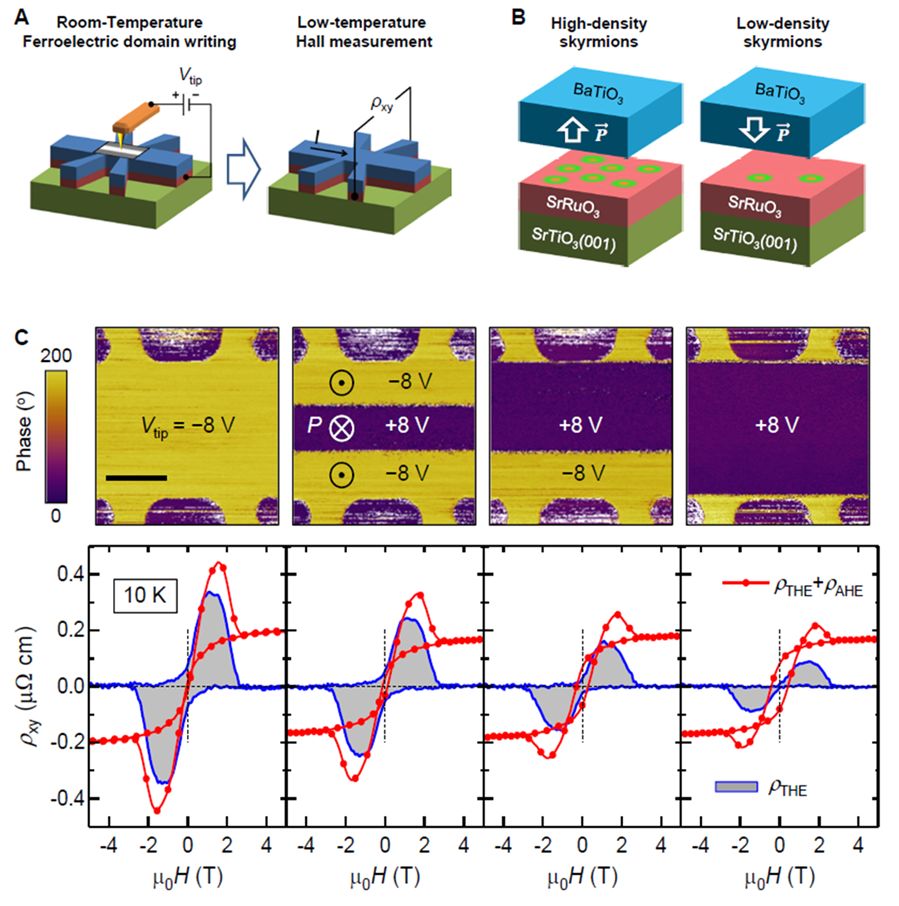用铁电把玩磁性斯格明子