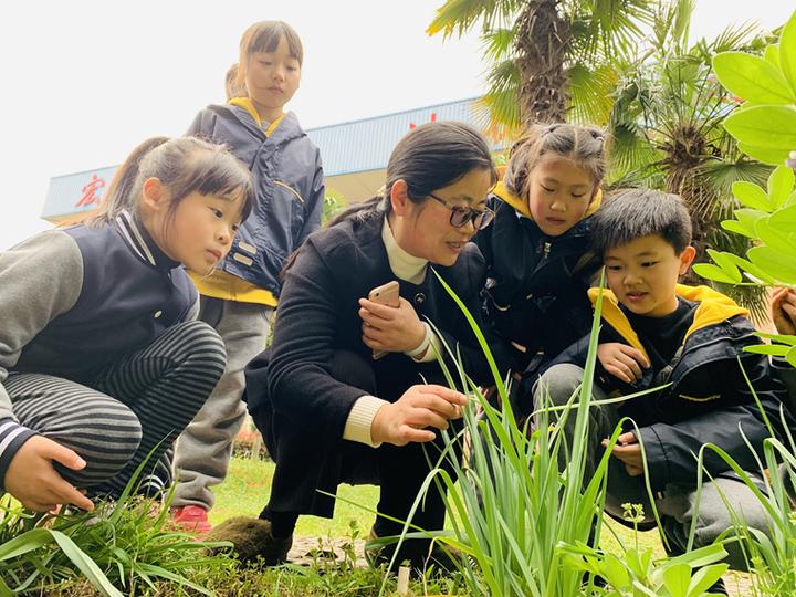 深度“融杭”提升教育品质,海宁这所学校与浙江中医药大学签约啦!