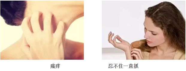 蚊子驱蚊驱虫,杀虫剂对蚊子有效又安全