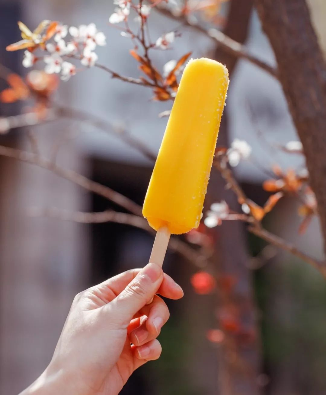 7.11便利店什么雪糕值得买,便利店雪糕品牌选哪些