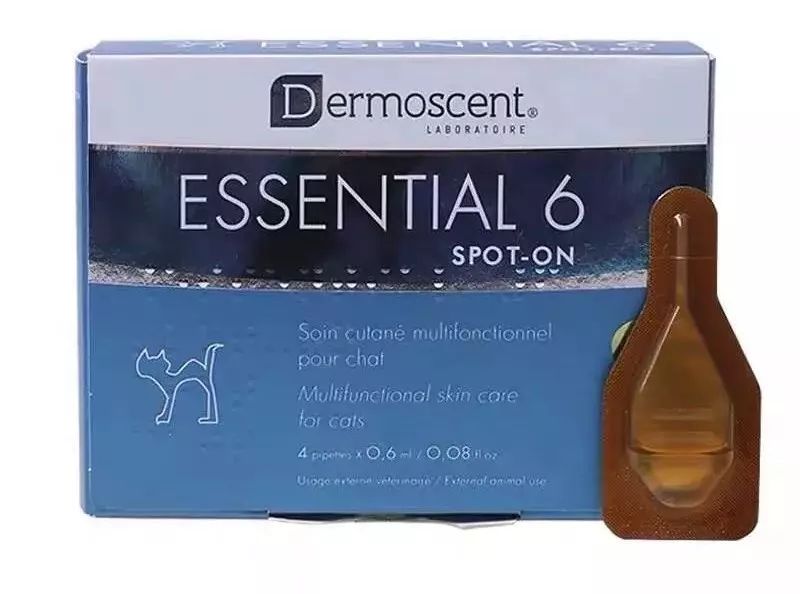 猫咪10种常见病图片,猫咪得了怪病咳嗽不止