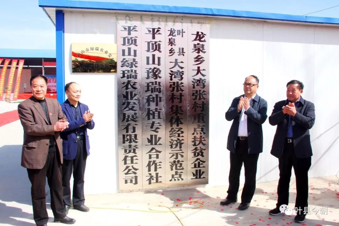 返乡创业为乡亲带来种植新理念,发展蔬菜种植助力乡村振兴