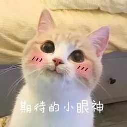 雄安博物馆效果图,雄安博物馆