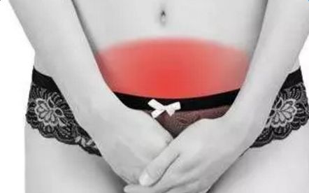 精致女裤舒适,女士杜蕾斯女裤