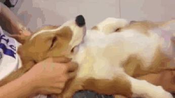 泰国回来得了白血病,泰国旅游回国后确诊淋巴瘤