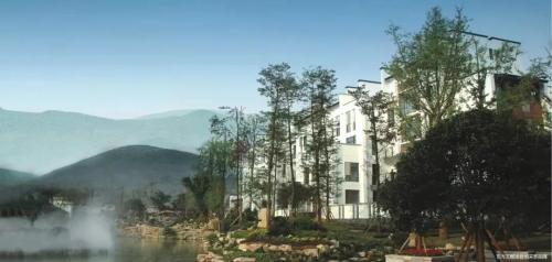 金科“洋房之父”|深度解析金科洋房20余载的迭代创新