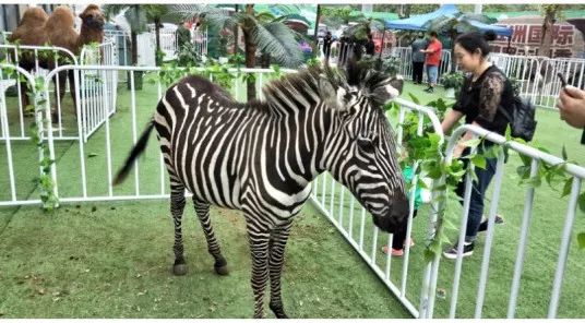 济宁太白湖牡丹园特惠票,济宁太白湖牡丹园门票怎么免费领