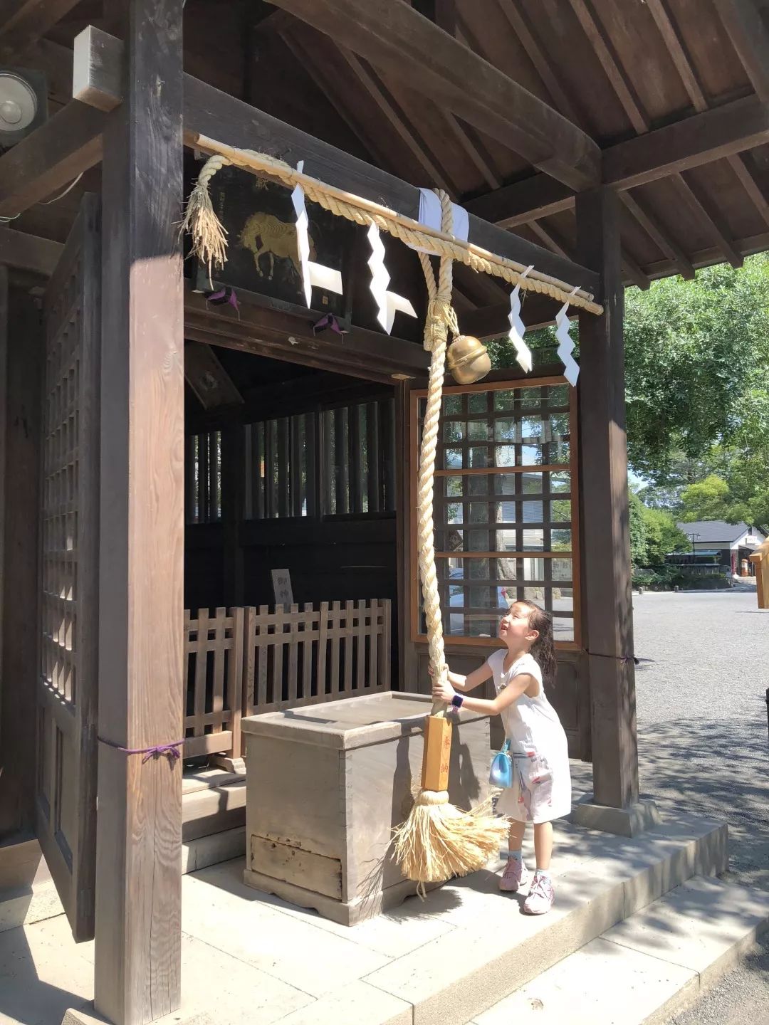 招募丨2019暑期精品小团，蒲蒲兰带你去见宫西达也！