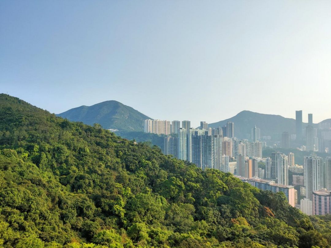 opporeno10变焦版,oppo10倍光学变焦手机