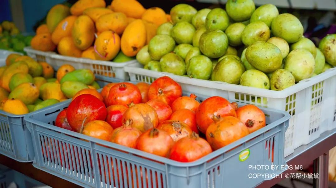 真香原版图片大全,新加坡图文旅游攻略