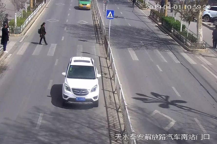 交通违法曝光台案例,交通违法曝光台