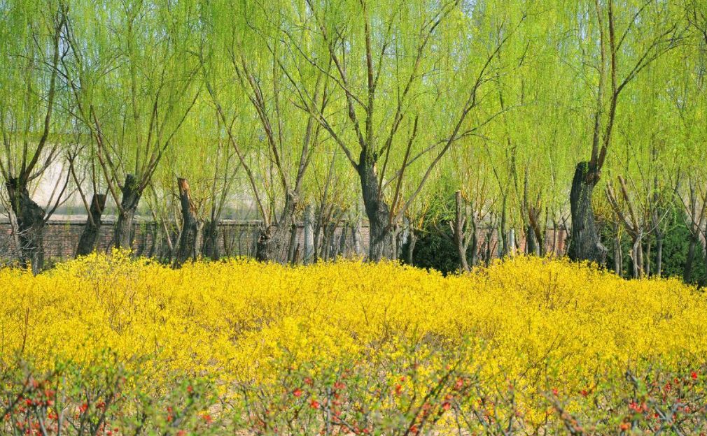 sillyraces英语绘本,sillyraces