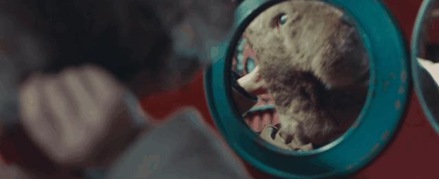 郑渊洁驯兔记全集在哪看,看完郑渊洁的驯兔记你有什么感想