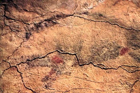 野猪的“世界史”,也是一部《权力的游戏》