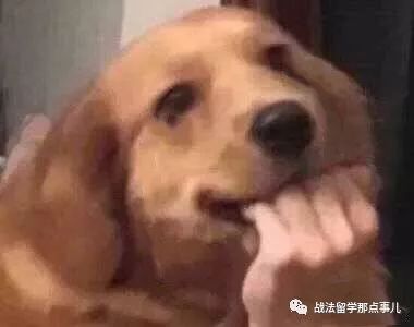 【留学】春风十里不如探校走起！留法史上最全合集