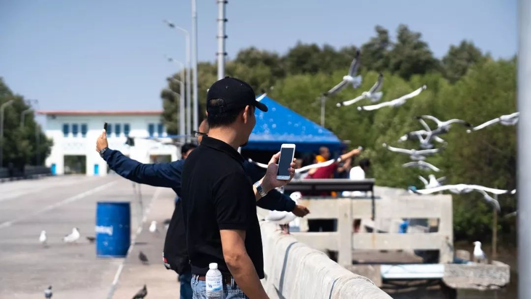 泰国vlog素材,泰国素材vlog