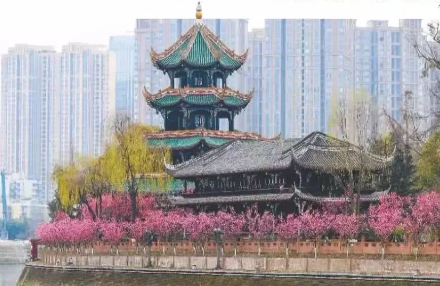 成都老照片视频播放,四川成都一楼老照片