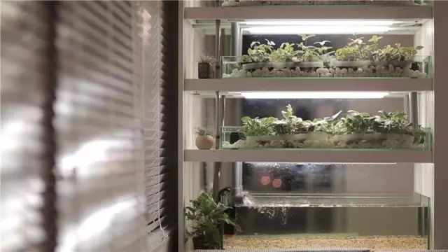 他用14天改造6口之家，只为给她一线生机！