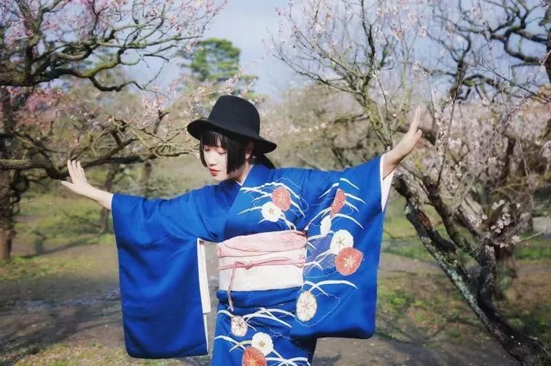 日本旅行乡下,一个日本大人的旅行