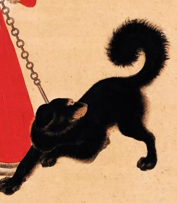 成都冷知识丨最霸气!聊聊养10条松潘狗的资格老成都“铲屎官”张大千