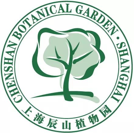 腊梅怎么开花,腊梅开花