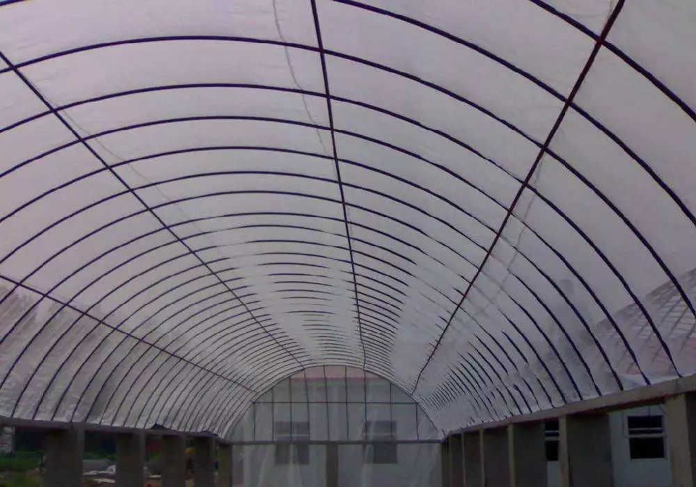 防虫网的主要作用有哪几个方面,防虫网哪种效果最好