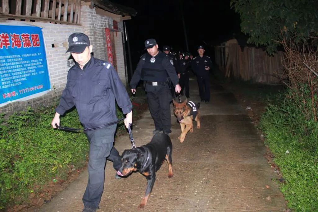 扫黑除恶丨亮剑！梧州警方北海铁山港警方严打风暴强度大