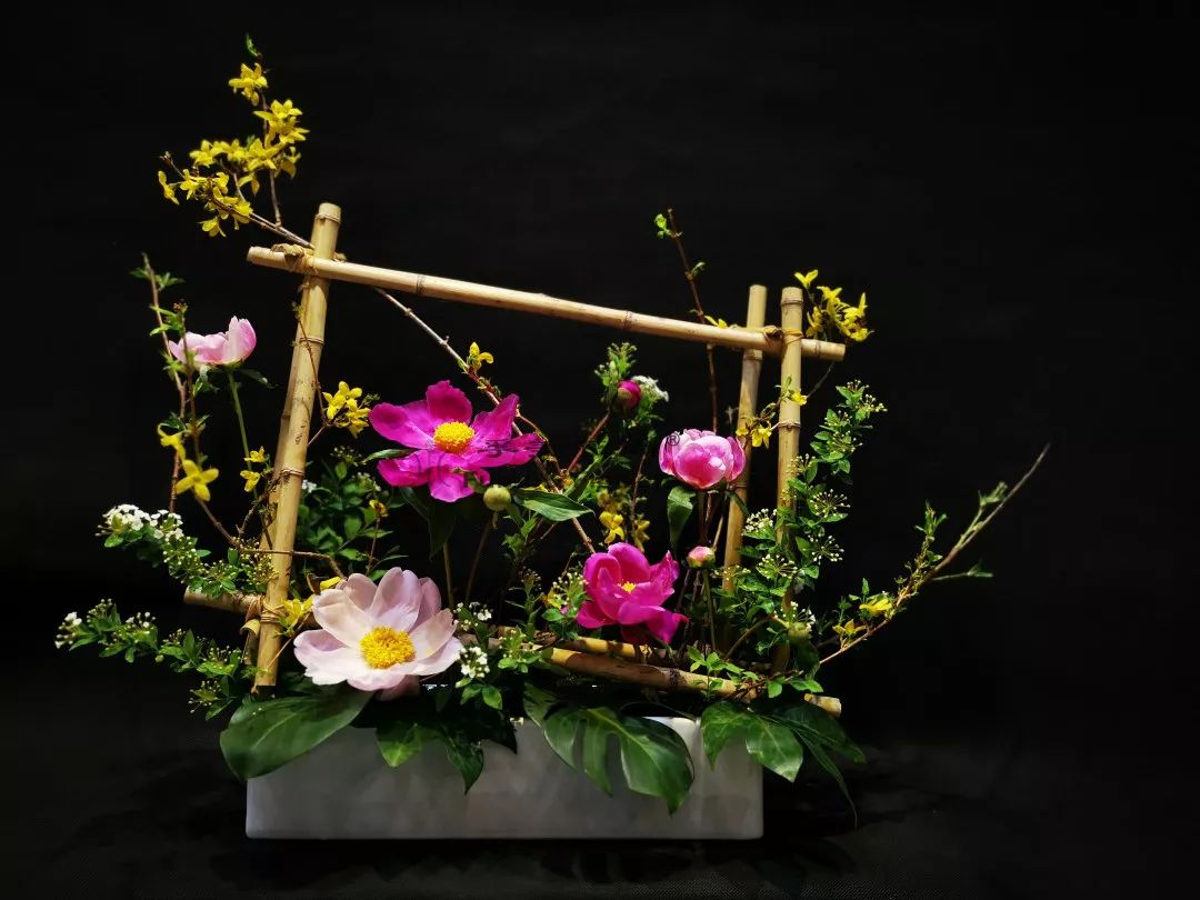 芍药花开清香袭来