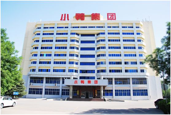 李勇刚小鸭,小鸭集团董事长李永刚