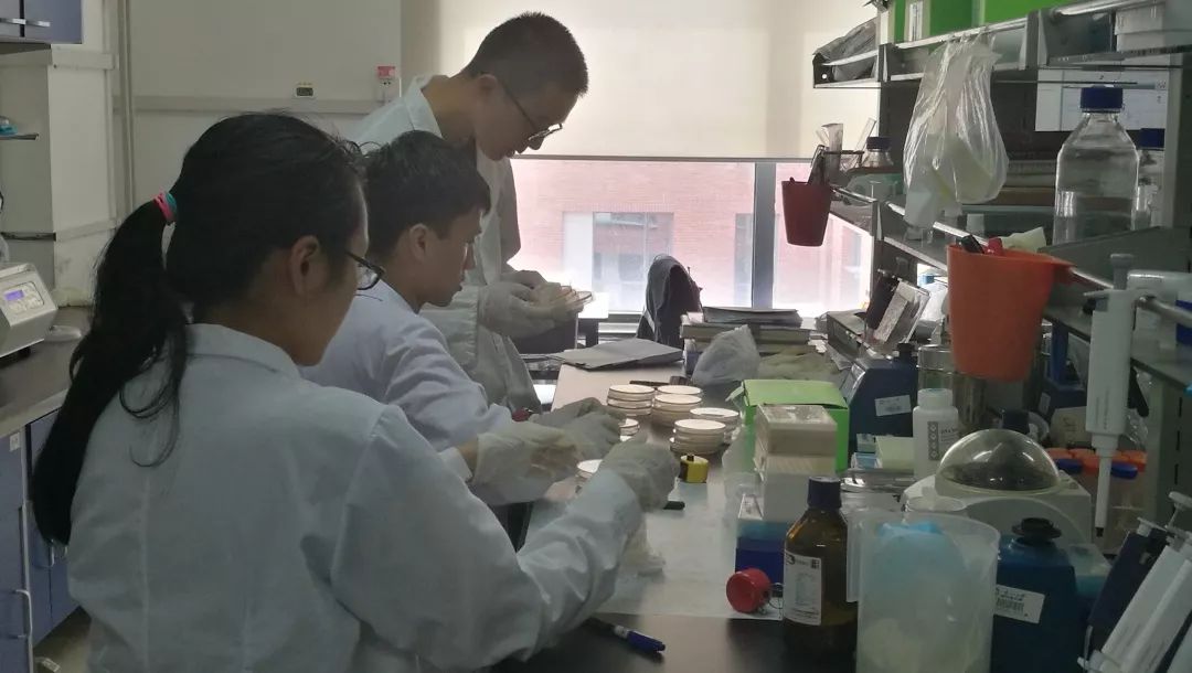 选课选到网课怎么上,选课选到大学语文